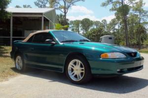1998 Ford Mustang GT Photo