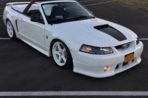1999 Ford Mustang Photo