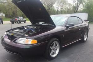 1996 Ford Mustang SVT Photo