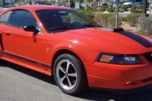 2003 Ford Mustang Mach 1 Photo