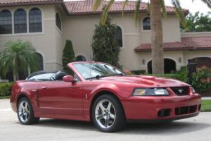 2004 Ford Mustang RARE SVT COBRA CONVERTIBLE - VERY FEW OF THESE LEF Photo