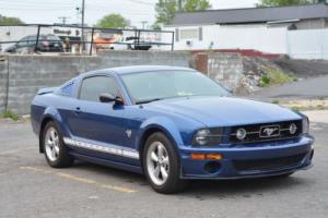 2009 Ford Mustang 45th Anniversary Edition (unique emblems included) Photo