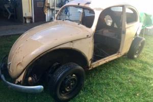 VW Beetle 1956 Oval on 1969 floorpan (ball joint/swing arm), excellent project. Photo