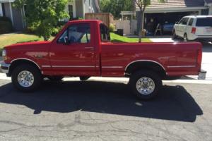 1995 Ford F-150 Photo
