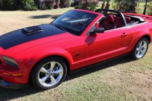 2006 Ford Mustang Photo