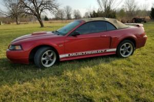 2001 Ford Mustang GT Photo