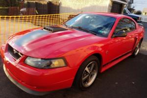 2003 Ford Mustang Mach 1 Photo