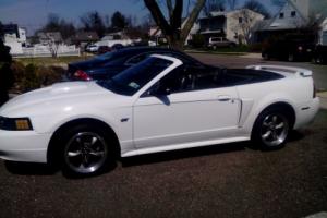 2001 Ford Mustang 4 pass specialty Photo