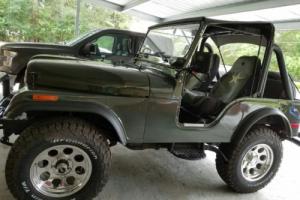 1975 Jeep Other Photo