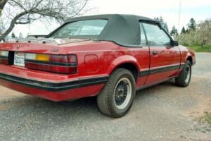 1983 Ford Mustang Photo