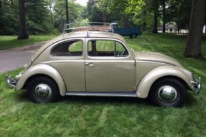 1957 Volkswagen Oval Window Bug Photo