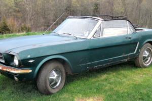 1965 Ford Mustang