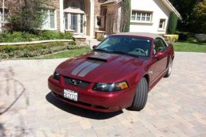2004 Ford Mustang 5 speed Photo
