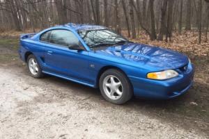1995 Ford Mustang Photo