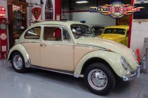 1966 Volkswagen Beetle-New Beetle