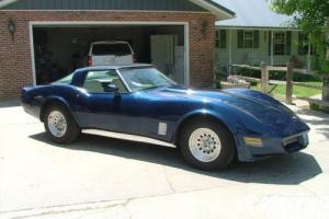 1981 Chevrolet Corvette Photo