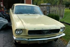 1966 Ford Mustang 2 dr Coupe Photo