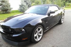 2010 Ford Mustang Photo