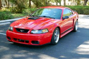 2004 Ford Mustang Mach 1 Photo