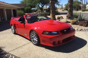 2004 Ford Mustang s281e Photo