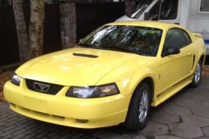 2001 Ford Mustang Photo