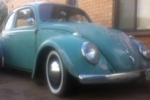 1960 VW Beetle Photo
