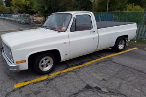 1983 Chevrolet Other Pickups c 10 Photo