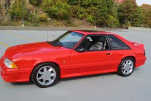 1993 Ford Mustang Photo