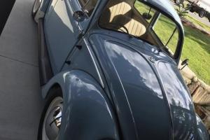 Volkswagen Beetle Photo