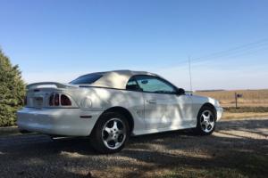1997 Ford Mustang SVT Photo