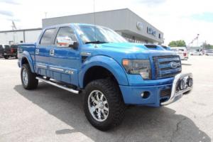 2014 Ford F-150 4WD SuperCrew 145" FX4 Photo