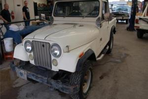 1981 Jeep Other --