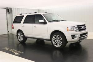 2017 Ford Expedition Photo