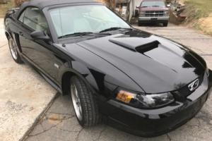 2003 Ford Mustang Anniversary Edition Photo