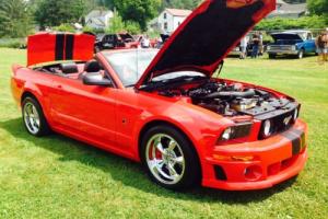 2005 Ford Mustang ROUSH Photo