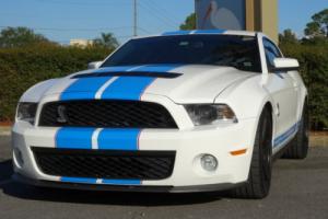2010 Ford Mustang Shelby GT500 Photo