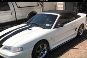 1998 Ford Mustang Photo