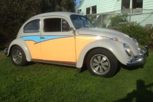 63 VW Beetle