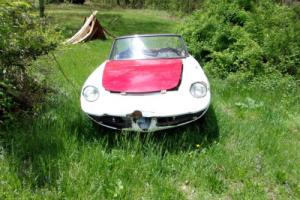 1967 Alfa Romeo Spider