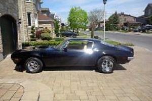 1970 Pontiac Firebird Photo