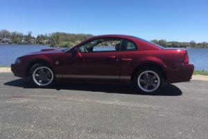 2004 Ford Mustang Anniversary Addition Photo
