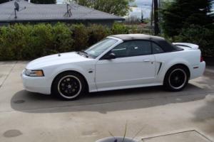 2000 Ford Mustang convertible