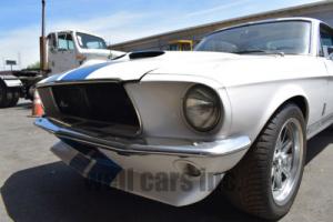 1967 Ford Mustang Fastback 1967 GT350 Tribute Photo