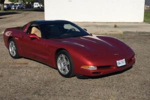 1998 Chevrolet Corvette GLASS TOP/AND PAINTED TOP Photo