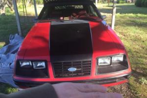 1984 Ford Mustang Photo