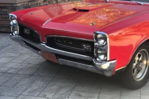 1967 Pontiac GTO GTO Photo