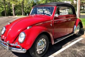 1964 Volkswagen Beetle - Classic CONVERTIBLE Photo