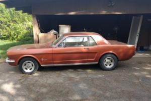 1966 Ford Mustang Photo