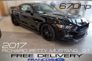2017 Ford Mustang Richard Petty Edition Photo