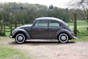  VOLKSWAGEN BEETLE GREY 